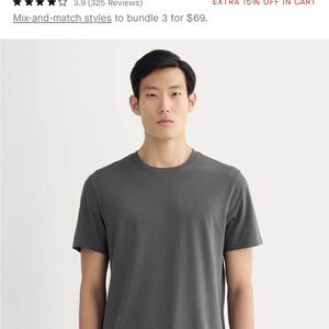 Everlane essential (thick cotton) T-shirt in graphite